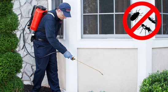 Taraklı Kene İlaçlama böcek ilaçlama ve haşere kontrolü — ilaclama-tr.com